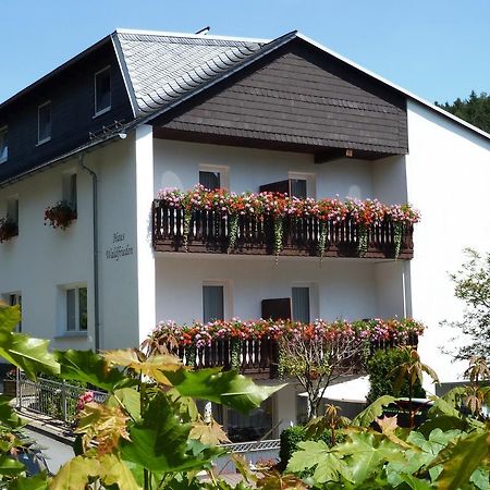 Pension Haus Waldfrieden, Meinecardplus Inklusive Willingen  Luaran gambar