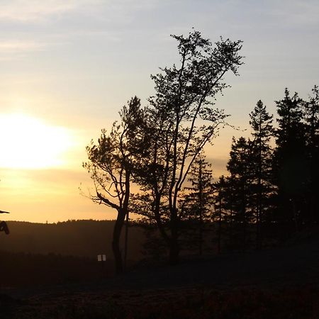 Pension Haus Waldfrieden, Meinecardplus Inklusive Willingen  Luaran gambar