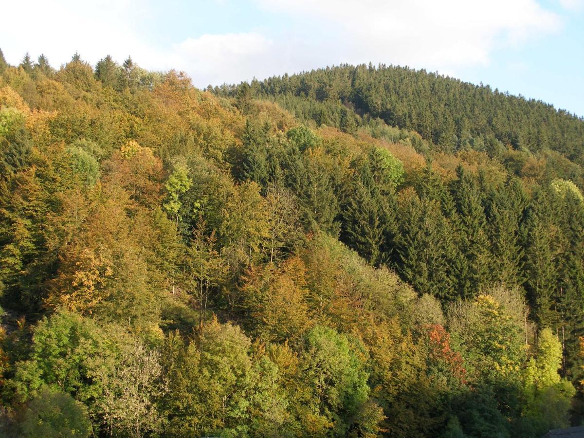 Pension Haus Waldfrieden, Meinecardplus Inklusive Willingen  Bilik gambar