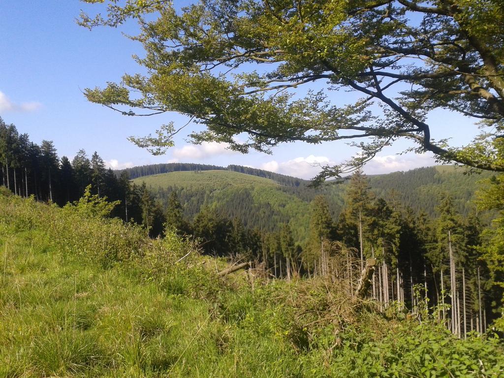 Pension Haus Waldfrieden, Meinecardplus Inklusive Willingen  Luaran gambar