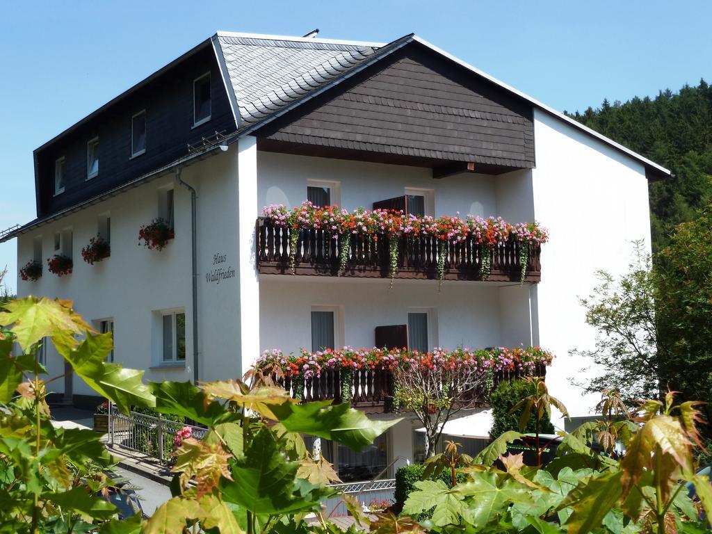 Pension Haus Waldfrieden, Meinecardplus Inklusive Willingen  Luaran gambar