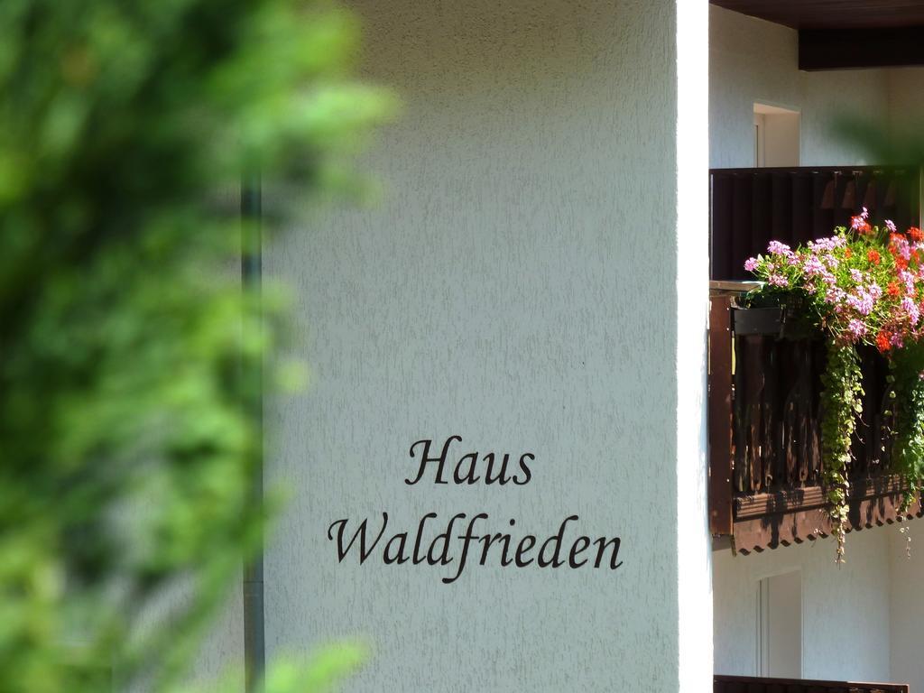 Pension Haus Waldfrieden, Meinecardplus Inklusive Willingen  Luaran gambar