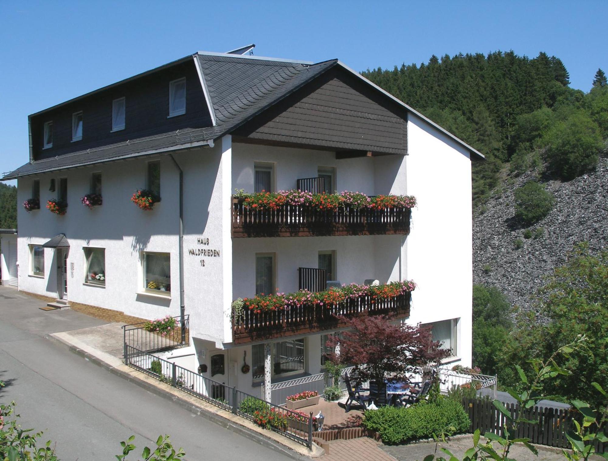 Pension Haus Waldfrieden, Meinecardplus Inklusive Willingen  Luaran gambar