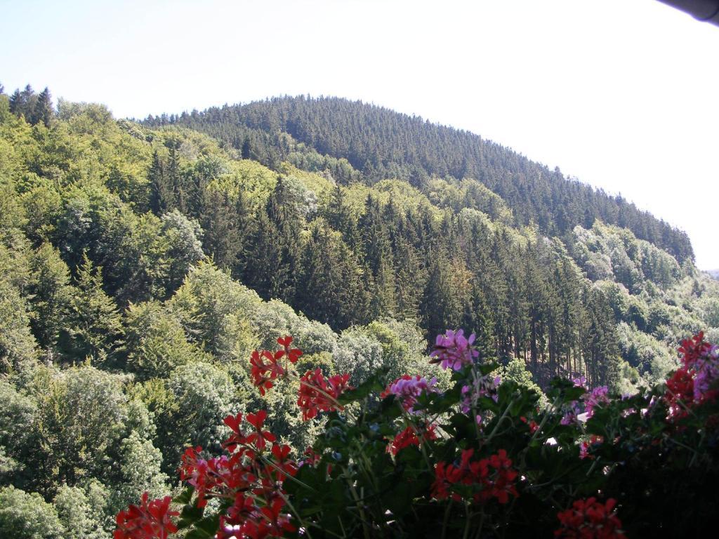 Pension Haus Waldfrieden, Meinecardplus Inklusive Willingen  Luaran gambar