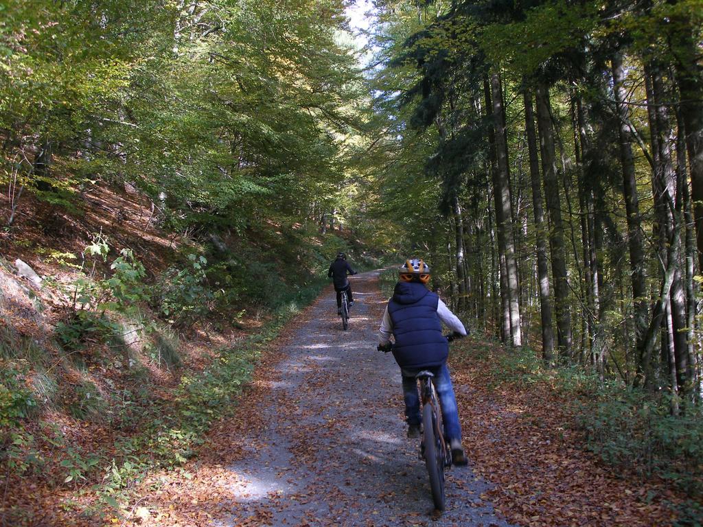 Pension Haus Waldfrieden, Meinecardplus Inklusive Willingen  Luaran gambar