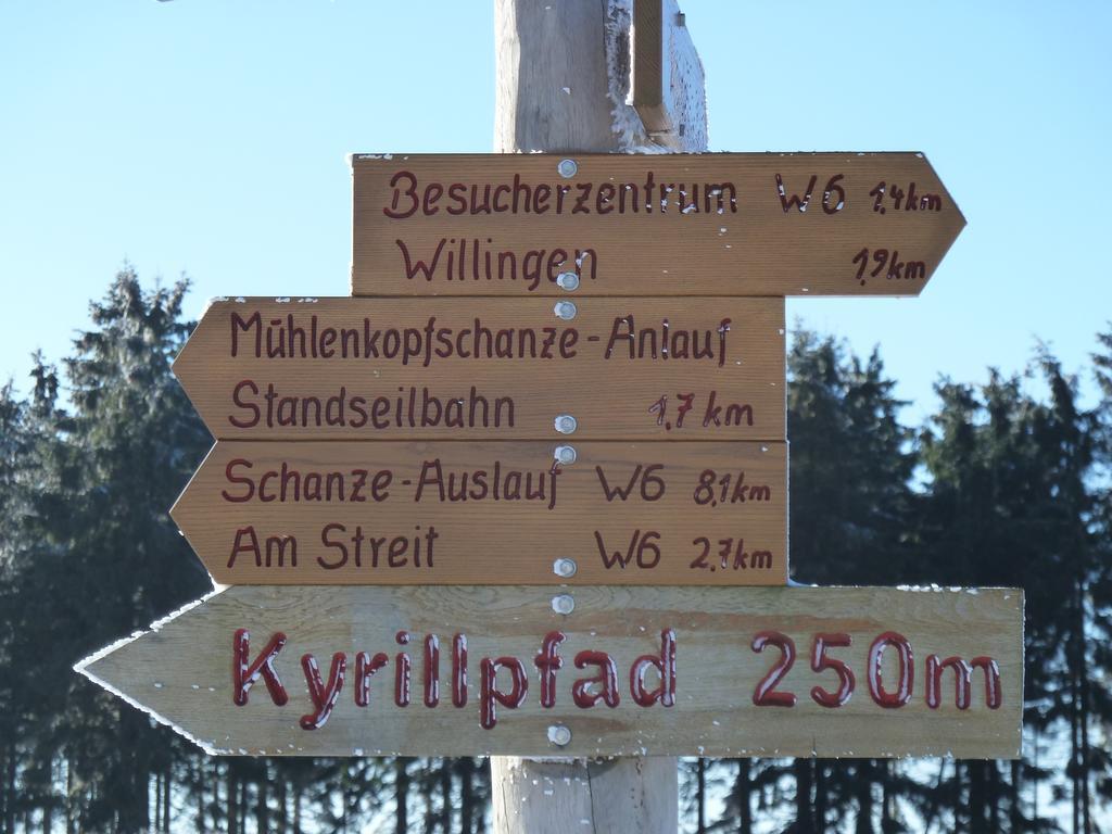 Pension Haus Waldfrieden, Meinecardplus Inklusive Willingen  Luaran gambar