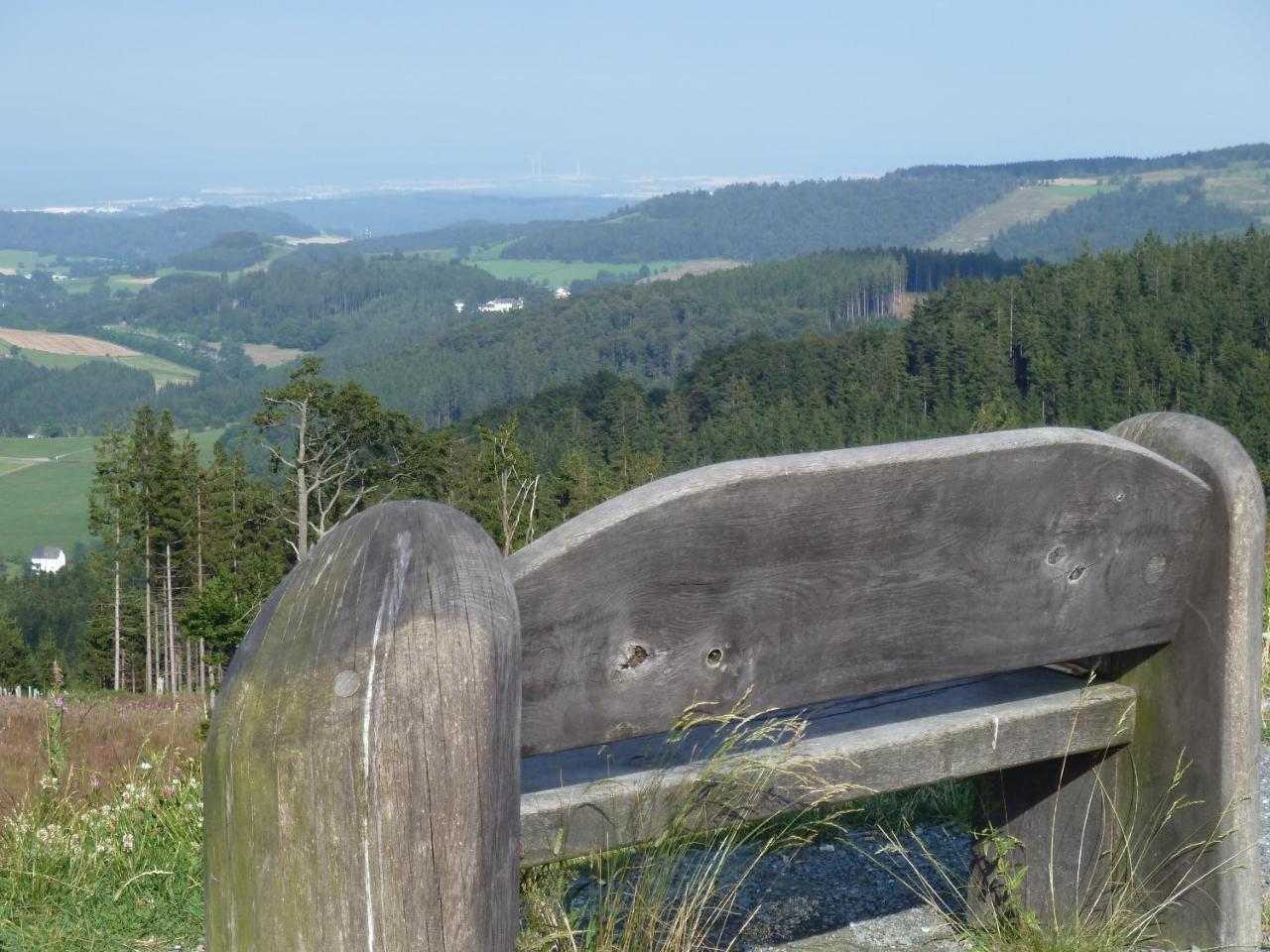 Pension Haus Waldfrieden, Meinecardplus Inklusive Willingen  Luaran gambar