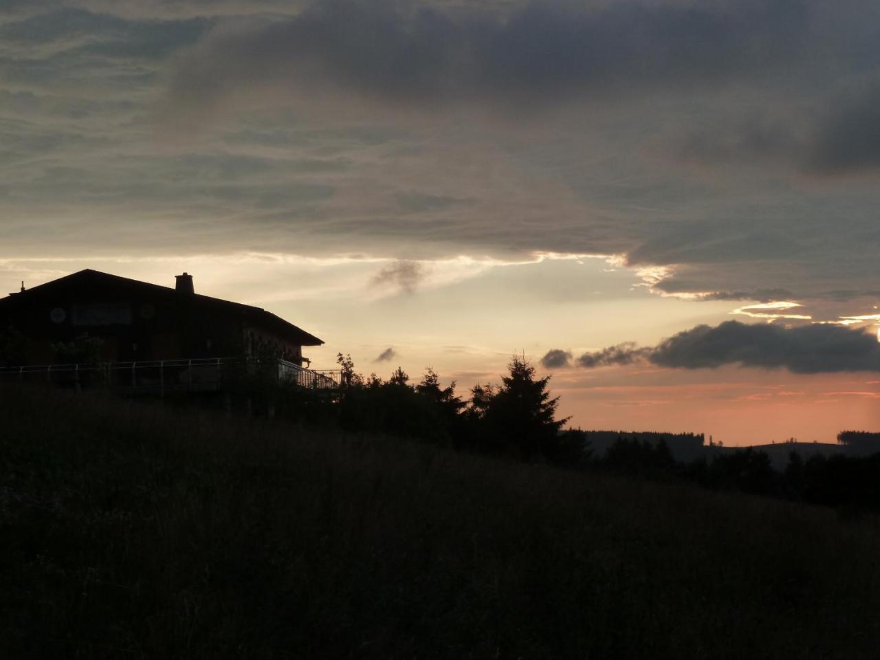 Pension Haus Waldfrieden, Meinecardplus Inklusive Willingen  Luaran gambar